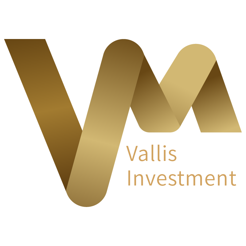 VALLIS TECHNOLOGY HOLDING PTE. LTD.